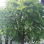 Landpension Haupt Gasthof