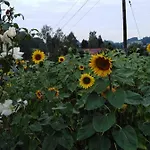 Landpension Haupt 3* Sebnitz