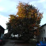Landpension Haupt Sebnitz