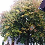 Landpension Haupt