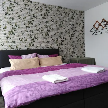 Landpension Haupt Guest house 3*