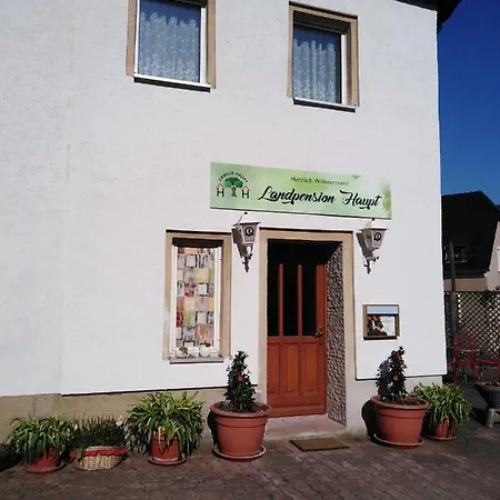 Penzion Landpension Haupt 3*