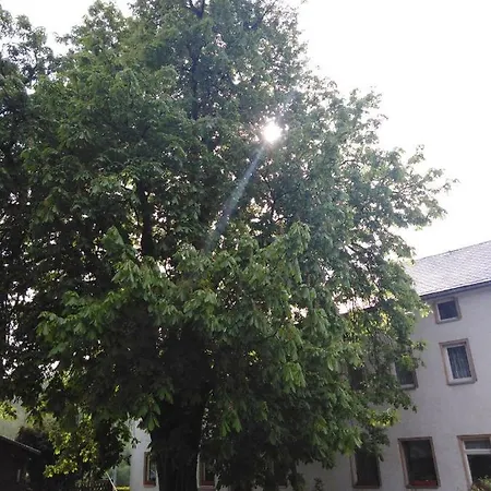 Landpension Haupt Penzion