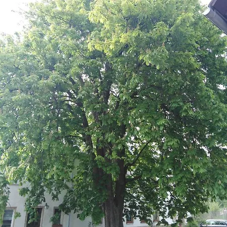 Landpension Haupt Guest house