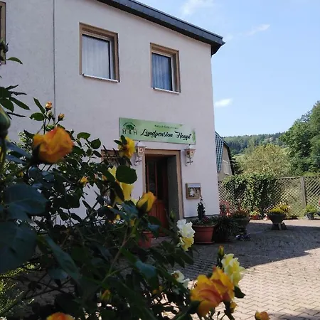 Landpension Haupt Guest house Sebnitz