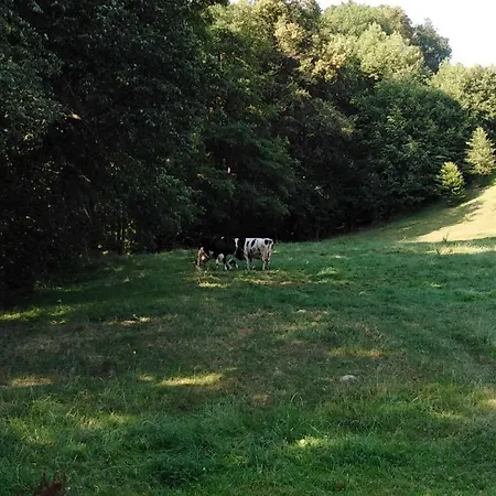 Guest house Landpension Haupt