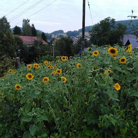 Landpension Haupt 3* Sebnitz