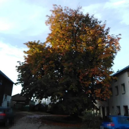 Landpension Haupt Sebnitz