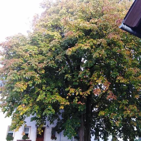 Landpension Haupt
