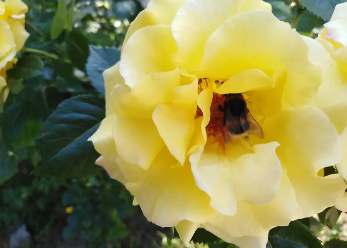 Landpension Haupt Sebnitz