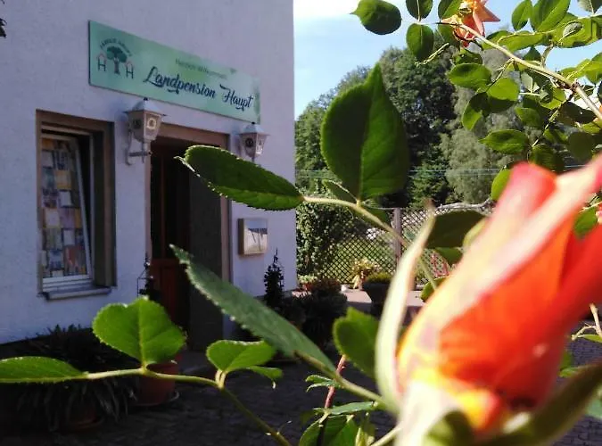 Gasthuis Landpension Haupt Sebnitz