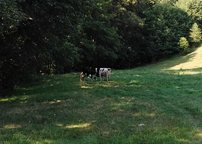 Gasthuis Landpension Haupt