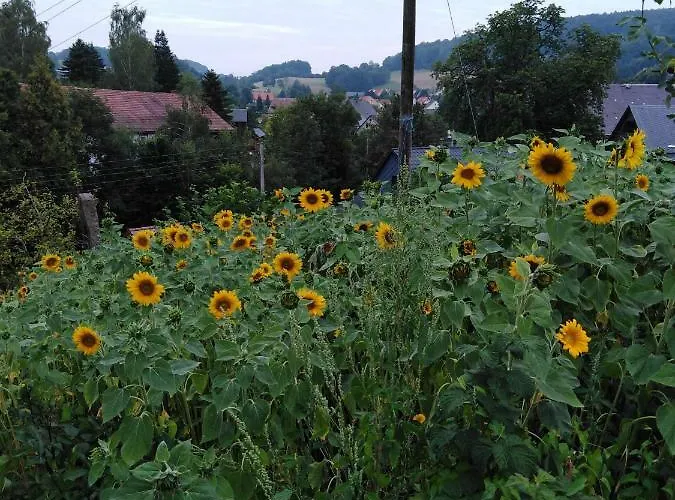 Landpension Haupt 3* Зебниц
