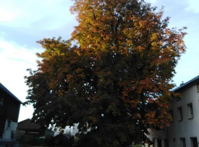 Landpension Haupt Sebnitz